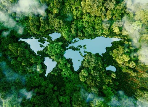 World Environment commitment Simpson